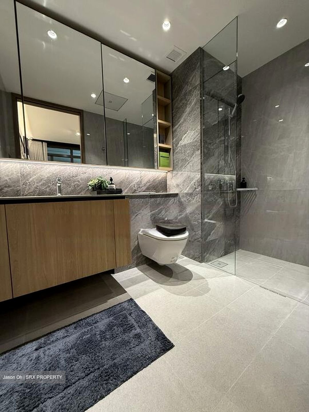 Clementi Avenue 1 (D5), Condominium #456353901